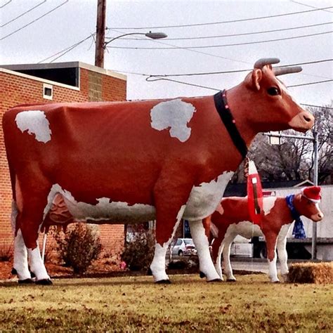 Photos At Ae Dairy Cows Sculpture Garden In Des Moines