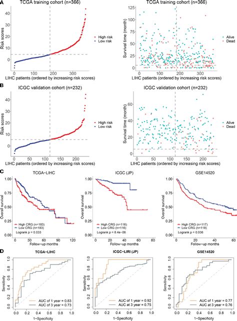 Frontiers Cuproptosis Related Genes Score A Predictor For