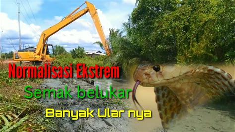 Excavator Normalisasi Sungai Semak Belukar YouTube