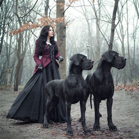 Готика Angel Gothic. Пост со стены. | Victorian dress, Fashion, Fairy tales