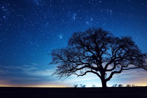 Premium Photo Tree Silhouettes Against A Starry Night Sky