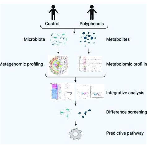 Combining Microbiome And Metabolomics To Investigate The Bioactivity Of Download Scientific