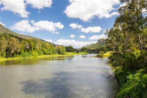 Tweed River New South Wales Stock Photo Image Of Flora Habitat