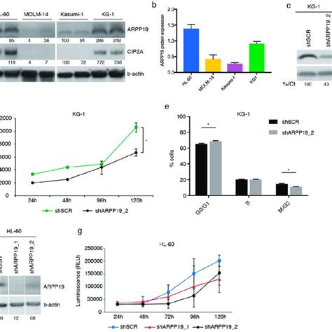 DepMap Analysis Of The Dependency Of Tumor Cell Line Panels In CRISPR