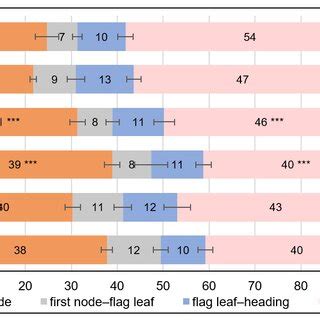 Developmental Phase Duration Of NILs With Dominant Alleles Of VRN A1