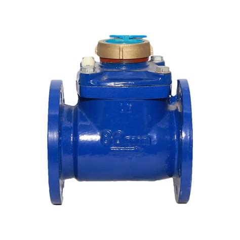 Dn 300 Industrial Ultrasonic Water Meter With Lorawan Mbus Technology