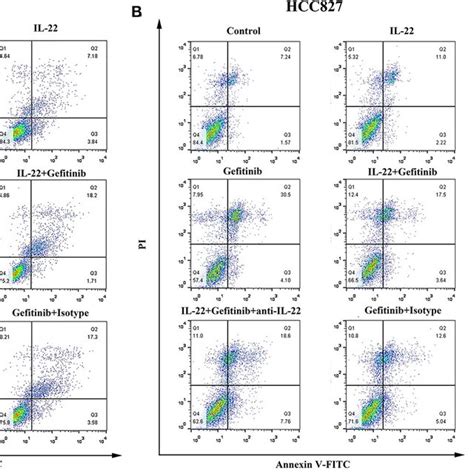 Il 22 Induced Resistance To Gefitinib In Pc9 And Hcc827 Cells In Vitro