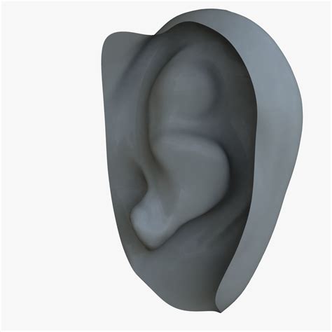 Human Ear 3d Model Cgtrader