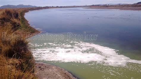 Los Distritos Afectados Por La Contaminación De Las Aguas Residuales De Seda Juliaca Al Río