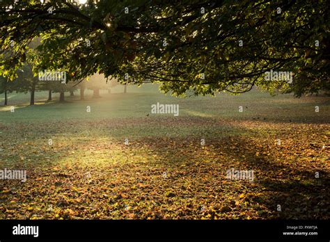 Crisp Fall Morning Hi Res Stock Photography And Images Alamy