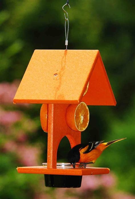 Get Your Songbird Essentials Fruit And Jelly Oriole Feeder At Theisens