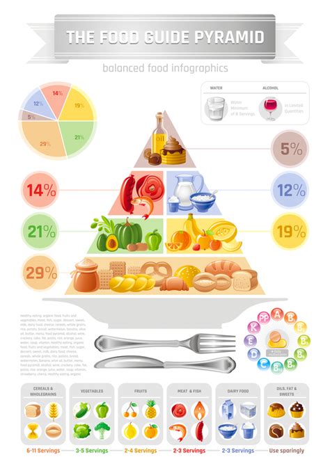 Balanced food pyramid infographics template vector 05 free download