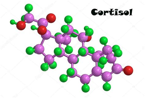 Molecular Structure Of Cortisol Stock Photo By Raimund14 93959102