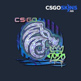 Sticker North Holo Rmr Csgoskins Gg