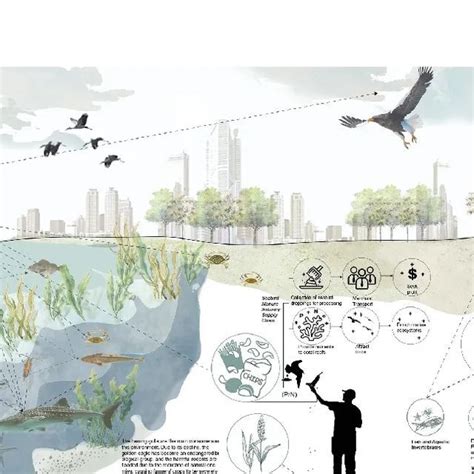 Urban Design Lab On Instagram Follow Urbandesign Lab Human Bird