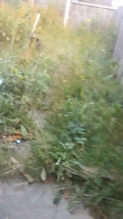 Outside 2 Shemale Outdoor Outdoor Porn XHamster