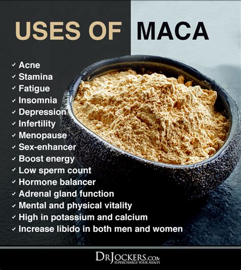 5 Hormone Balancing Benefits Of Maca DrJockers