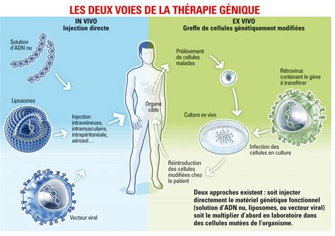 Le Guichet du Savoir Consulter le sujet Quelles sont les étapes de