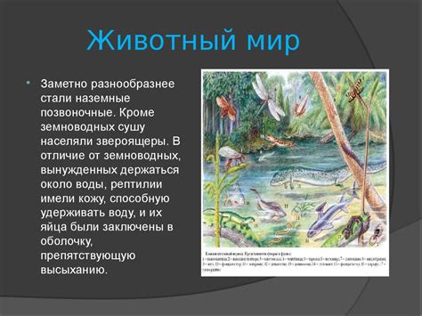 Каменноугольный период - презентация онлайн