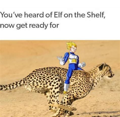 Vegeta On A Cheetah Youve Heard Of The Elf On The Shelf Know