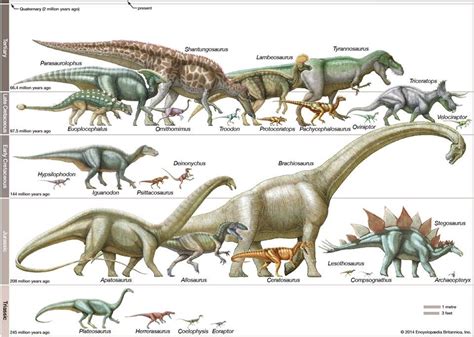 dinosaur (fossil reptile) | Dinosaur posters, Dinosaur fossils ...