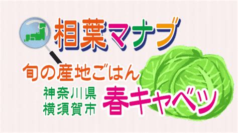 【相葉マナブ】旬の産地ごはん「春キャベツ」レシピまとめ（2023326） 知っ得レシピ