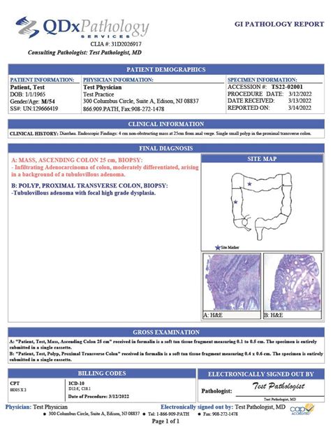 QDx Pathology GI Solutions Expertise In Gastroenterology