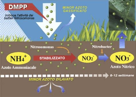 Direttiva Nitrati Problema E Opportunit Di Innovazione