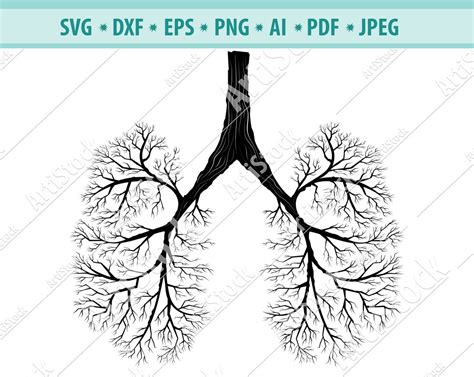 Human Lung Svg Lungs Svg Flowery Human Lung Silhouette Human Lung