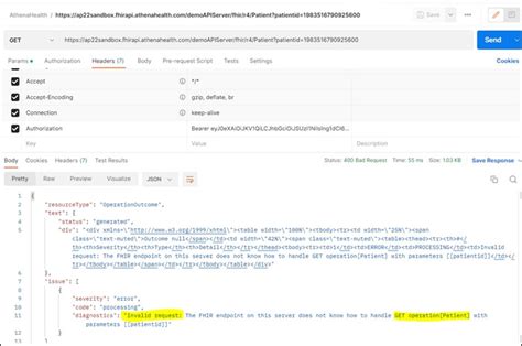 Error The Fhir Endpoint On This Server Does Not Know How To Handle