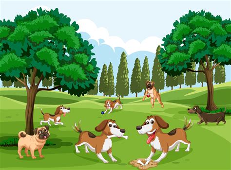 Many dogs playing in the park 6199786 Vector Art at Vecteezy