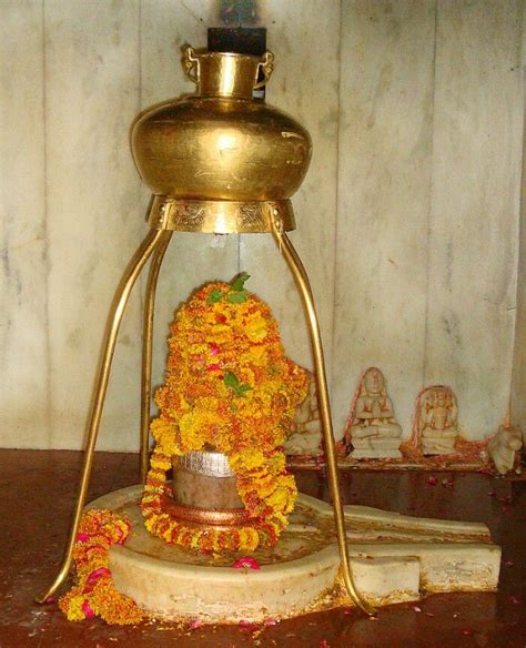 Shivling Nai Nath Temple Banskho Rajasthan Indian Goddess Kali