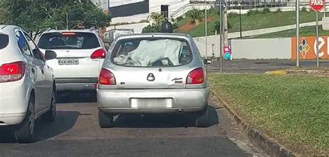 Polícia Ambiental identifica motorista que colocou bezerro no porta