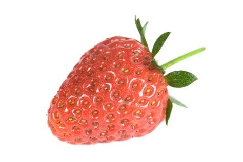 Premium Photo | A single strawberry on white