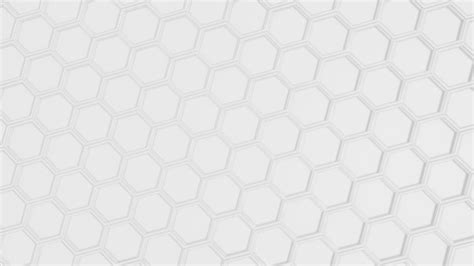 White Background Images Hd 4k Free