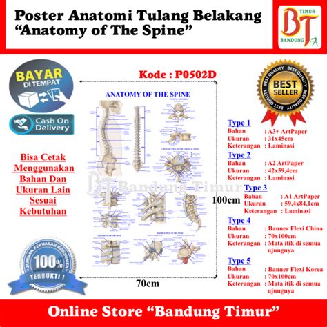 Jual POSTER ANATOMI TULANG BELAKANG - ANATOMY OF THE SPINE | Shopee ...