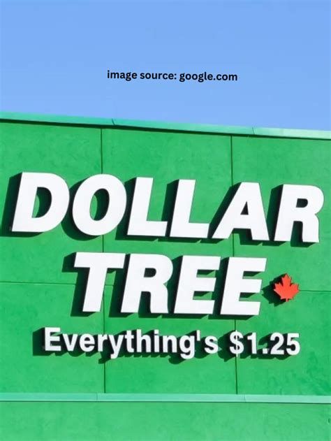 8 Best New Seasonal Items For Your Money At Dollar Tree In June