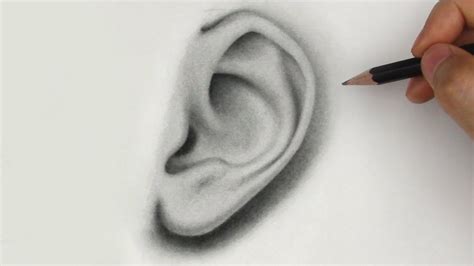 How To Draw Ears Side View How To Draw Ears Lips Drawing Pencil