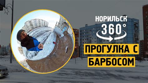 360 VR : Прогулка с барбосом в 360 градусов. Норильск ! - YouTube