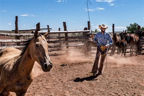 Babbitt Ranch Cowboys Working on Behance