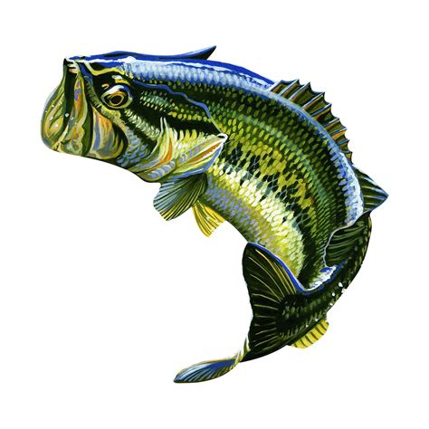 Large Mouth Bass Jumping Decal Bass Fish Decal Fish Fish Etsy