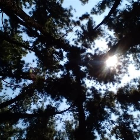 🕊️ (@x_vipe___r_) • Threads, Say more