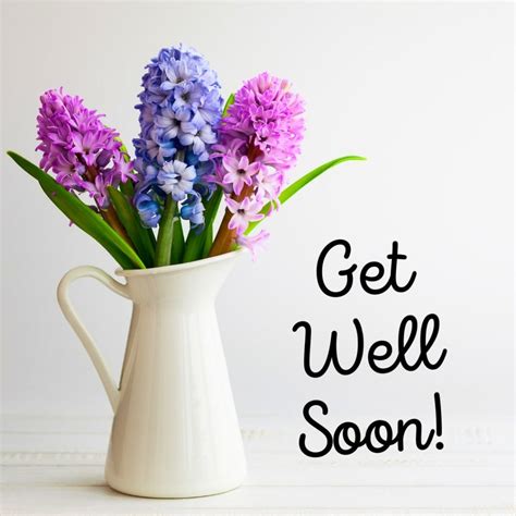 40 Nice Get Well Soon Messages And Images Send Scraps