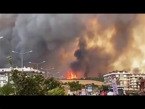 Le Immagini Dei Vasti Incendi In Turchia Pi Di Mille Persone Sono