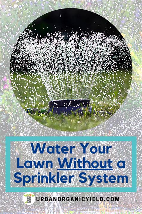 Watering Your Yard With No Sprinkler System Sprinkler System