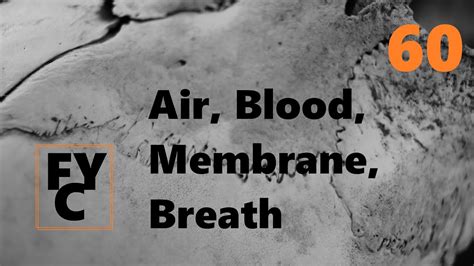 Air Blood Membrane Breath Forrest Yoga Chicago Min Youtube