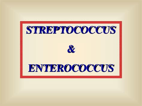 Solution Streptococcus Enterococcus Studypool