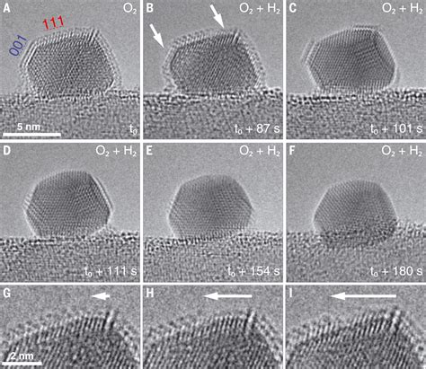 Dynamic Interplay Between Metal Nanoparticles And Oxide Support Under