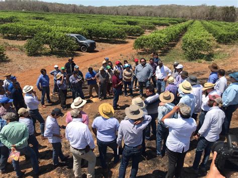 Campesinos seguirán organizados en la CNC