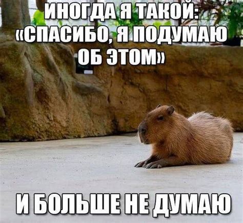 Подумаю | Пикабу
